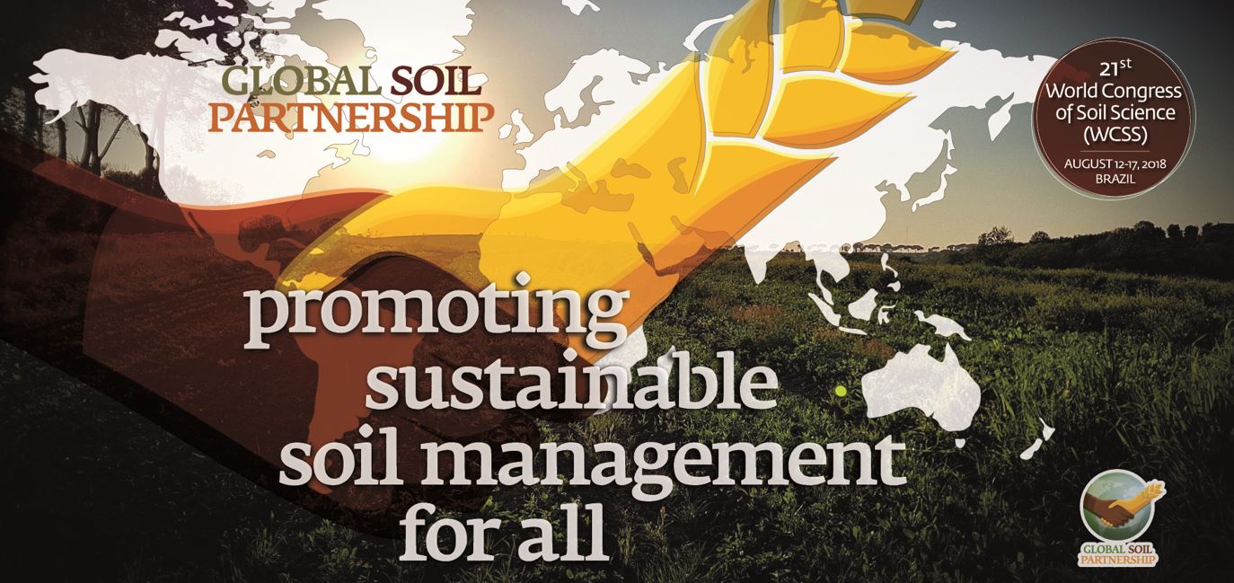 The GSP at the 21st World Congress of Soil Science Global Soil